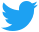 twitter-icon