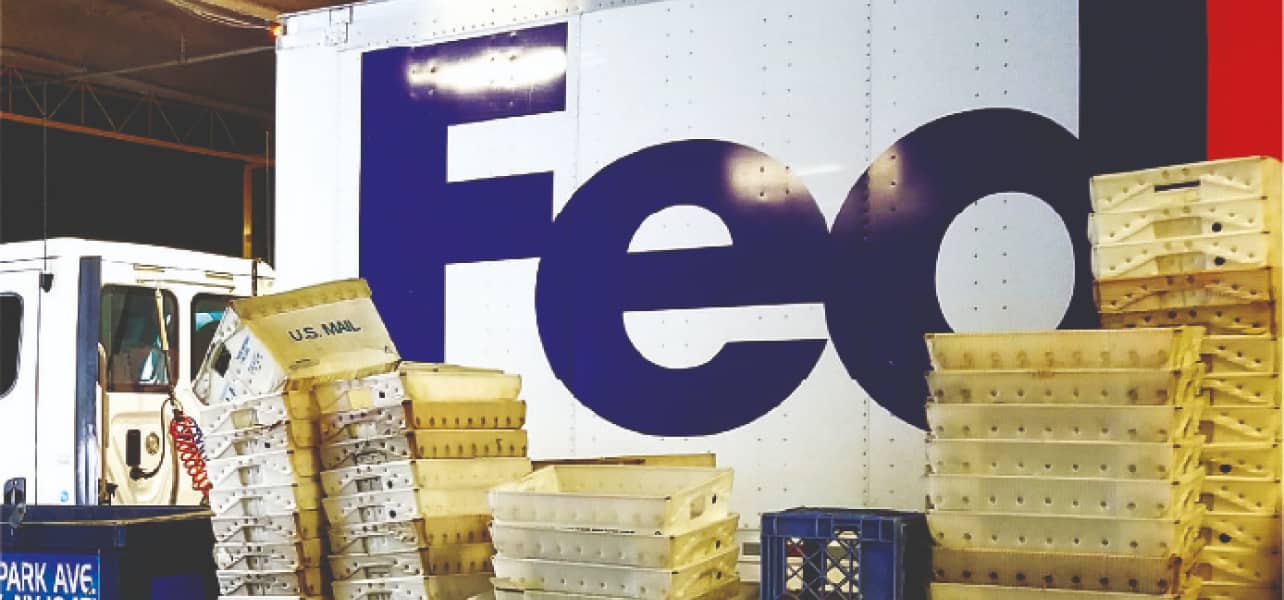 fedex-thumbnail