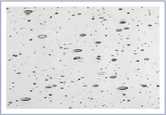 いのまさ JMCA認証) SLIP ON LINE カーボン | AKRAPOVIC